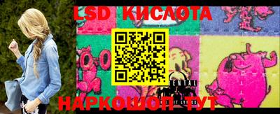 мяу мяу мука Гатчина