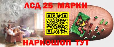 дживик Гай