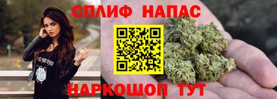 гидропоника Гагарин