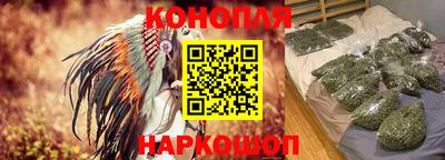 дживик Гай