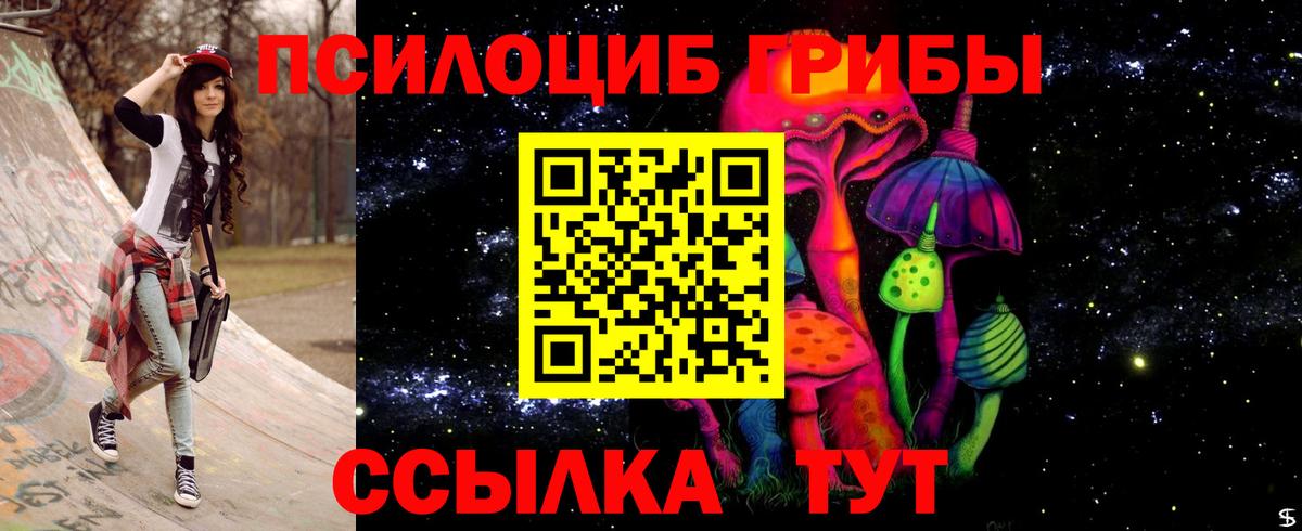 Галлюциногенные грибы Cubensis Можга